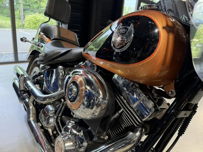 SOFTAIL FAT BOY 1584 SPECIAL