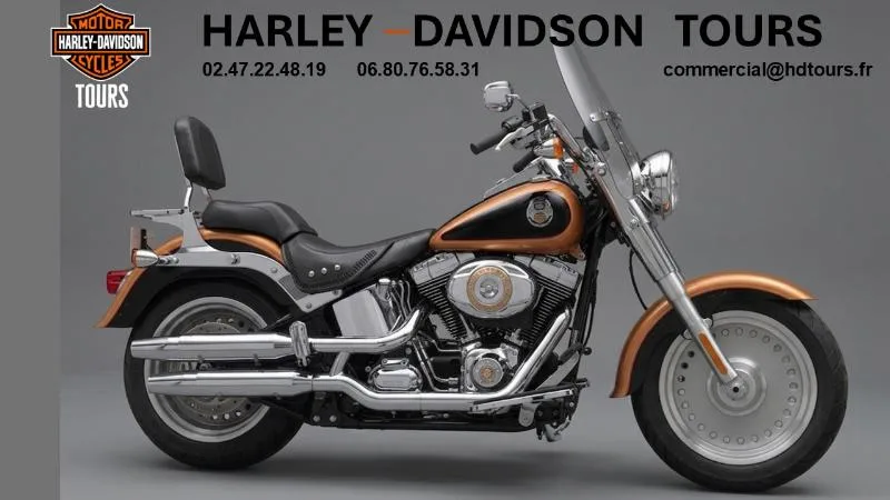 SOFTAIL FAT BOY 1584 SPECIAL