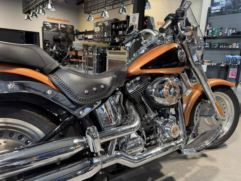 SOFTAIL FAT BOY 1584 SPECIAL