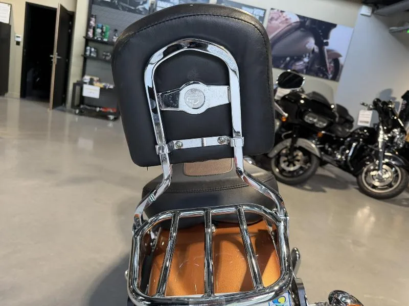 SOFTAIL FAT BOY 1584 SPECIAL