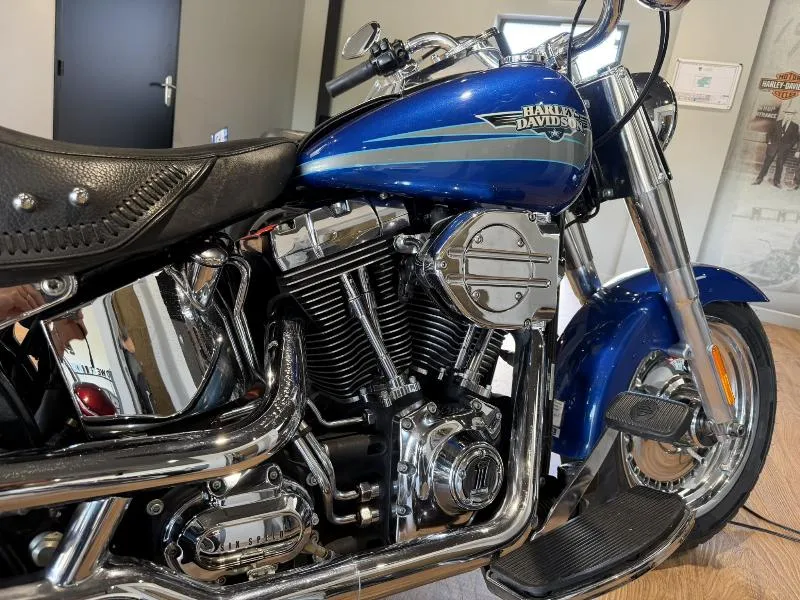 SOFTAIL FAT BOY 1584