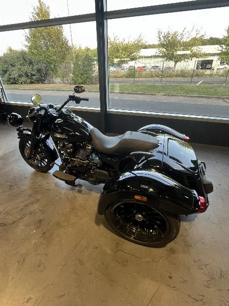 TRIKE FREEWHEELER 1745