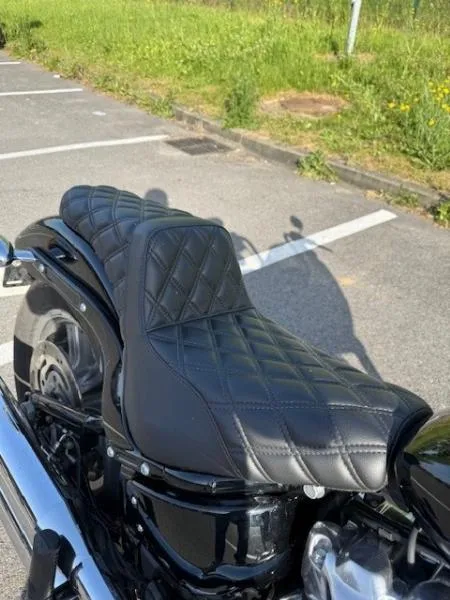 SOFTAIL STANDARD 1745
