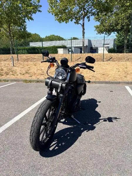 SPORTSTER IRON 883