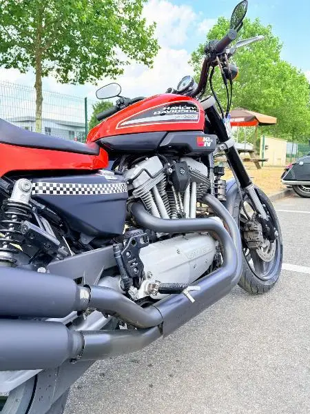 SPORTSTER XR1200