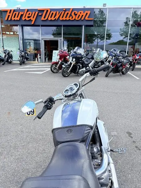 VROD MUSCLE 1250