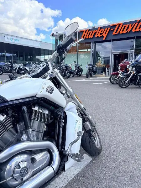 VROD MUSCLE 1250