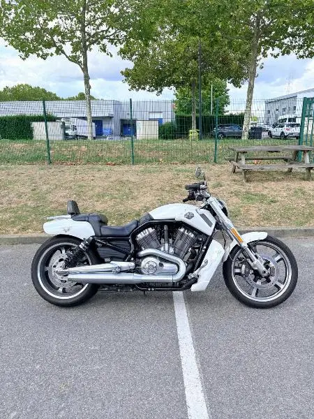 VROD MUSCLE 1250