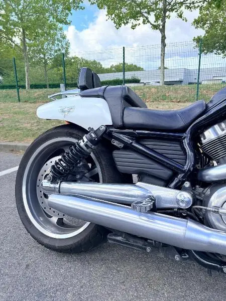 VROD MUSCLE 1250