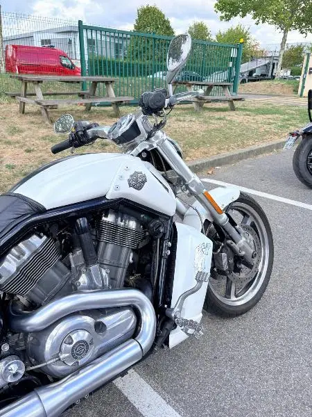 VROD MUSCLE 1250