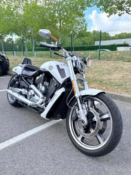 VROD MUSCLE 1250