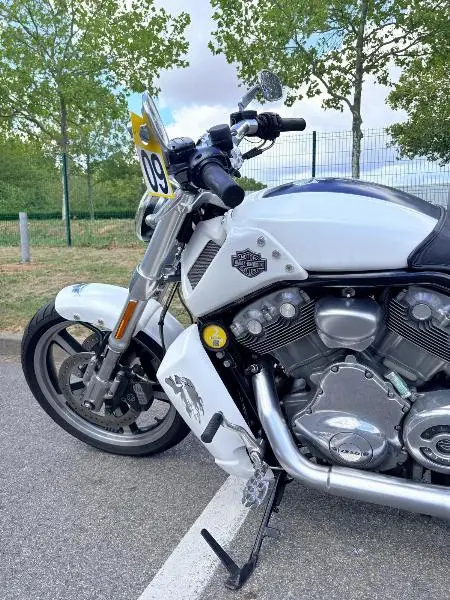 VROD MUSCLE 1250