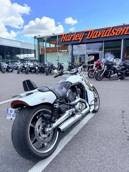 VROD MUSCLE 1250