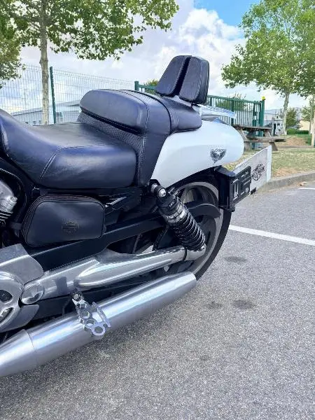 VROD MUSCLE 1250