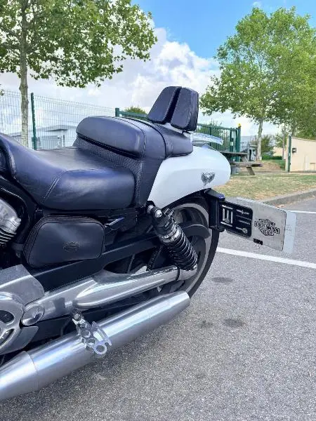 VROD MUSCLE 1250