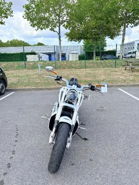 VROD MUSCLE 1250