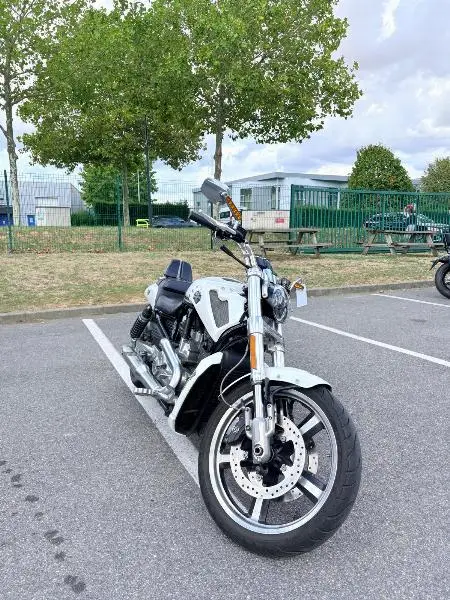 VROD MUSCLE 1250