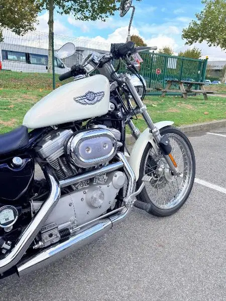 SPORTSTER CUSTOM 883