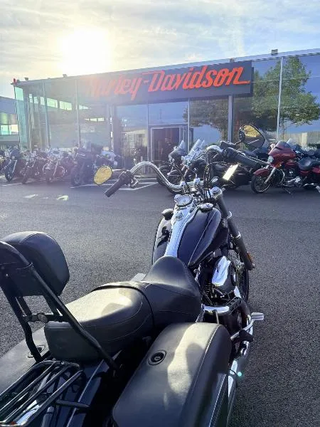 DYNA WIDE GLIDE 1584