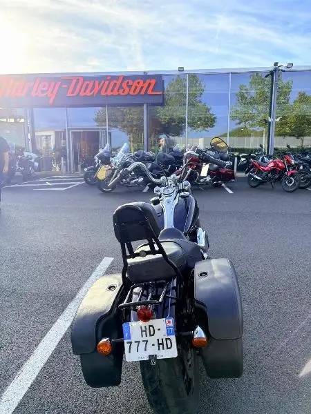DYNA WIDE GLIDE 1584