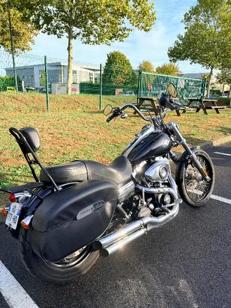 DYNA WIDE GLIDE 1584