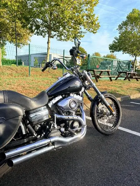 DYNA WIDE GLIDE 1584