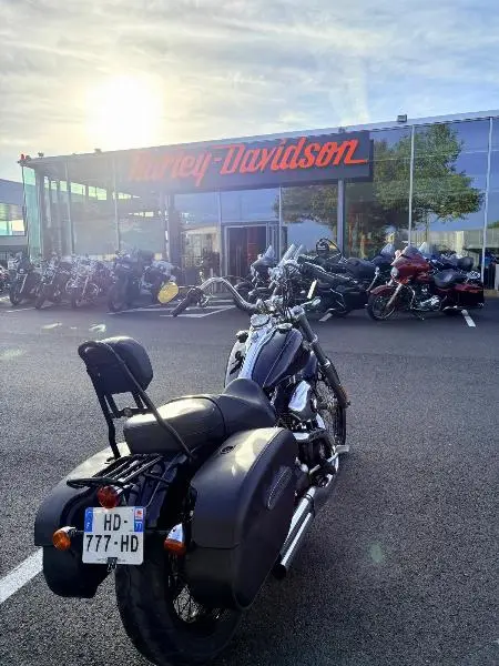 DYNA WIDE GLIDE 1584