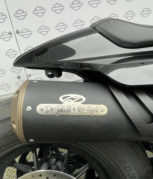 SPORTSTER 1250 S