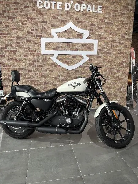 SPORTSTER 883
