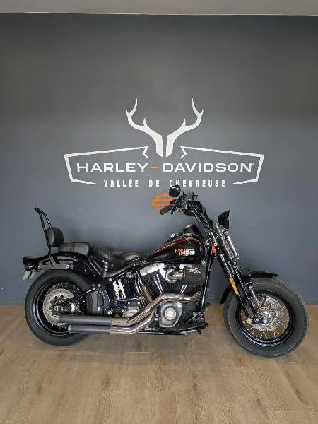 SOFTAIL CROSS BONES 1584