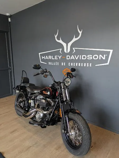 SOFTAIL CROSS BONES 1584