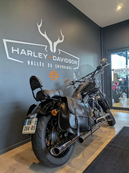 DYNA STREET BOB 1690