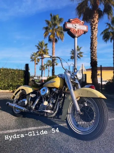 HYDRAGLIDE 1200 Panhead