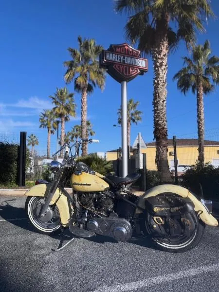 HYDRAGLIDE 1200 Panhead
