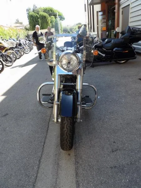 DYNA SWITCHBACK 1690