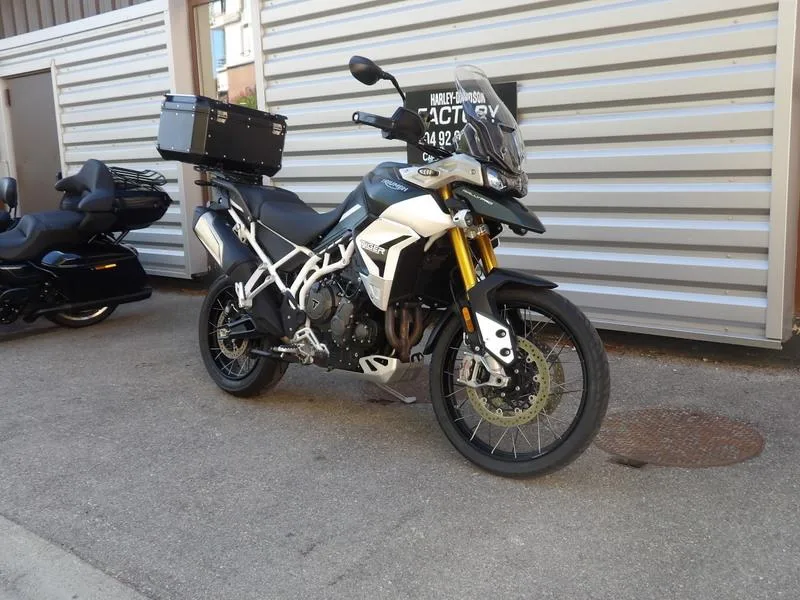 TIGER 900 RALLY PRO