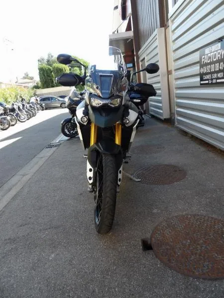 TIGER 900 RALLY PRO