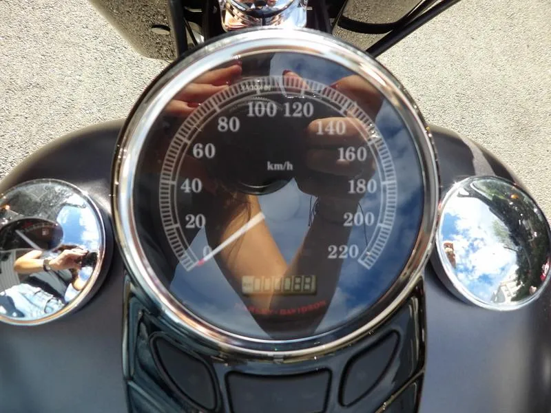 SOFTAIL SLIM 1690