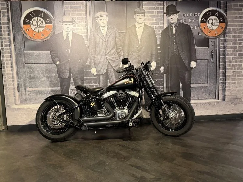 SOFTAIL SPRINGER 1584 CROSS BONES