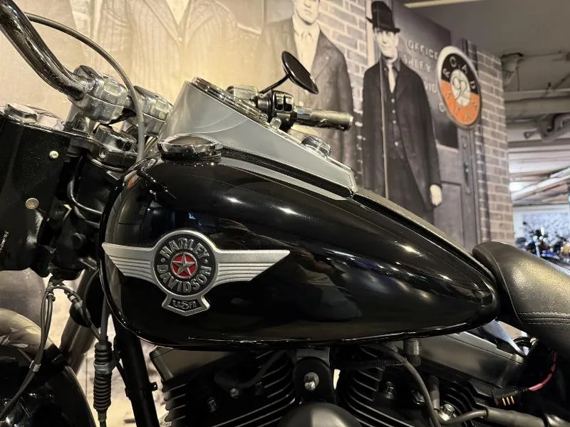 SOFTAIL FAT BOY 1584 SPECIAL