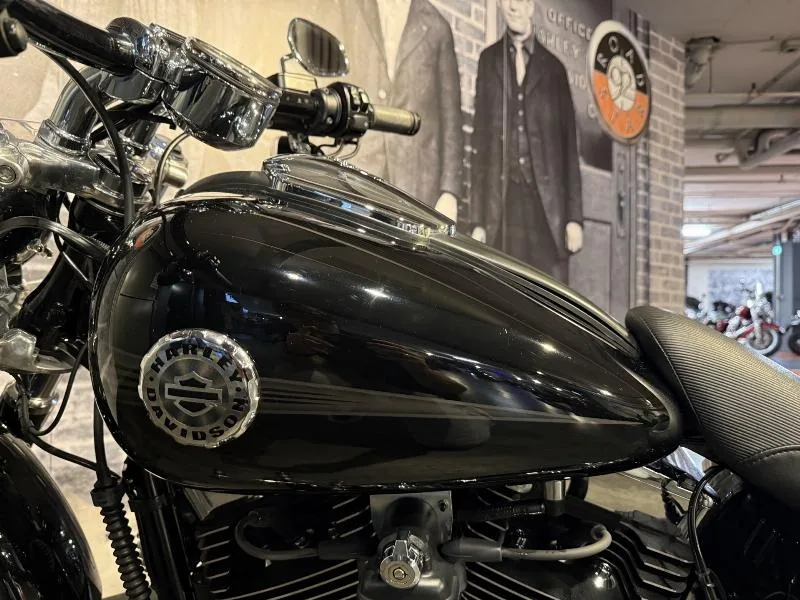 SOFTAIL BREAKOUT 1690