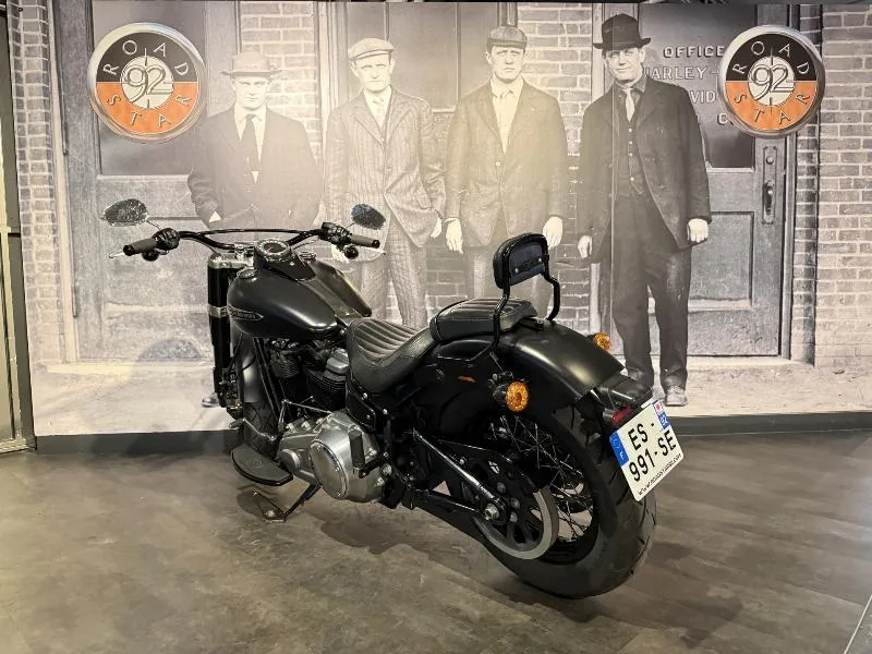 SOFTAIL SLIM 1745