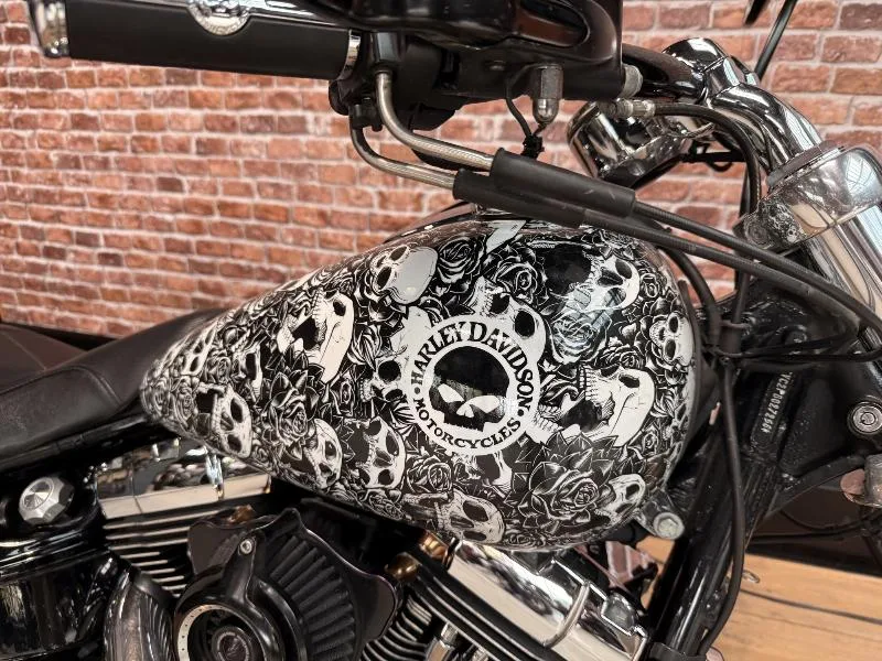 SOFTAIL BREAKOUT 1690