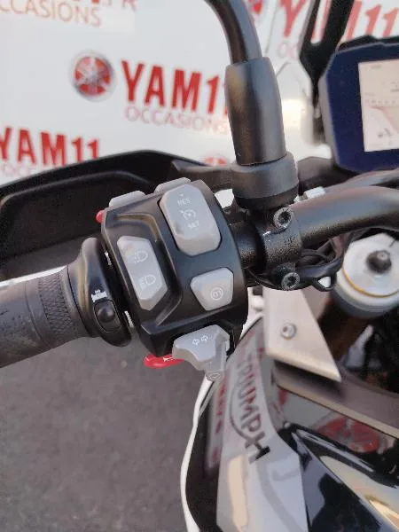 TIGER 900 RALLY PRO