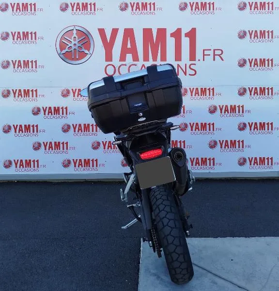 TIGER 900 RALLY PRO
