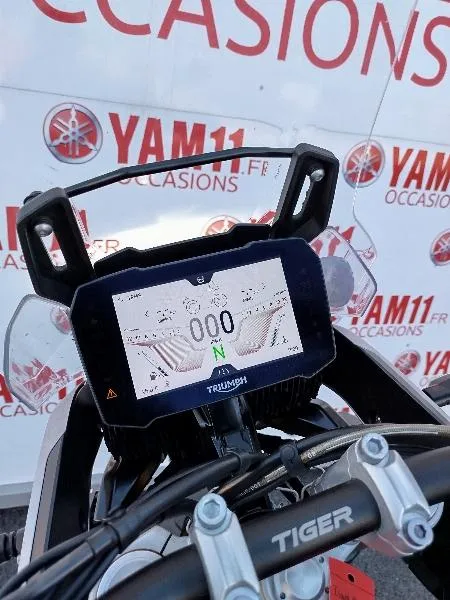 TIGER 900 RALLY PRO