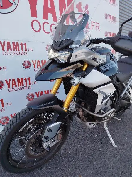 TIGER 900 RALLY PRO