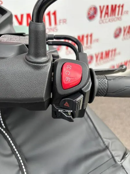 TRICITY 300