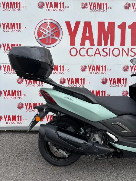 TRICITY 300