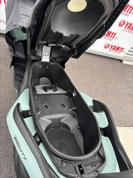 TRICITY 300